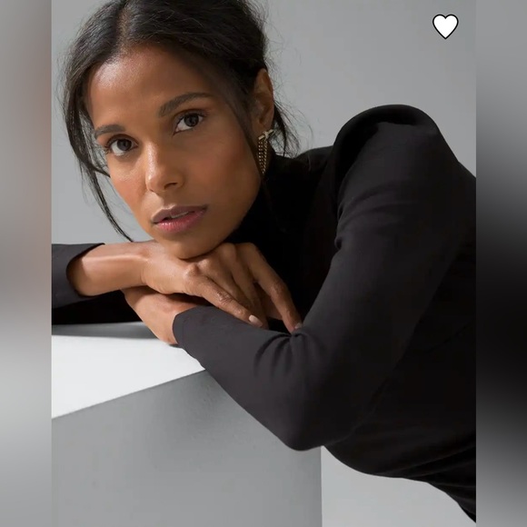 NWT! WHBM AURA Long Sleeve Mock Neck Mini Dress - Picture 3 of 5